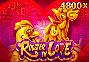 Rooster In Love